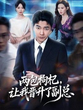 两包枸杞,让我晋升了副总海报